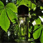 عطر اس تی دوپونت پور فمه اصل