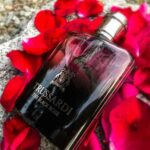 خرید عطر تروساردی د بلک رز