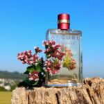 خرید عطر شنل آلور سنسوال ادو پرفیوم