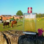 عطر شنل آلور سنسوال ادو پرفیوم اصل