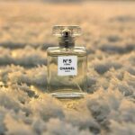 قیمت خرید عطر شنل شماره 5 لئو