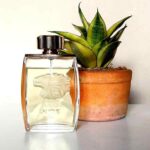 عطر لالیک پورهوم ادو پرفیوم اصل