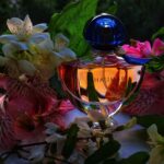 عطر گرلن شالیمار ادوتویلت اصل