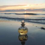 خرید عطر دیور دلچه ویتا