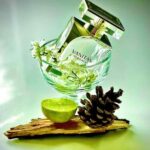 عطر ورساچه ونیتاس پرفیوم اصل