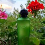 خرید عطر هرمس او د پامپلموس رز