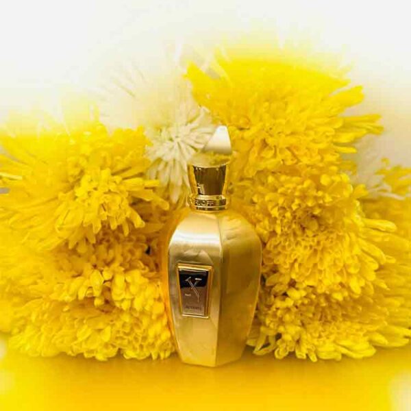 قیمت خرید عطر زرجف اکسنتو اوردوز