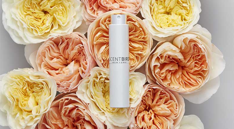 رایحه گلی از روایح عطرهای خنک