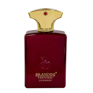 قیمت عطر ادکلن برندینی جورنی مردانه
