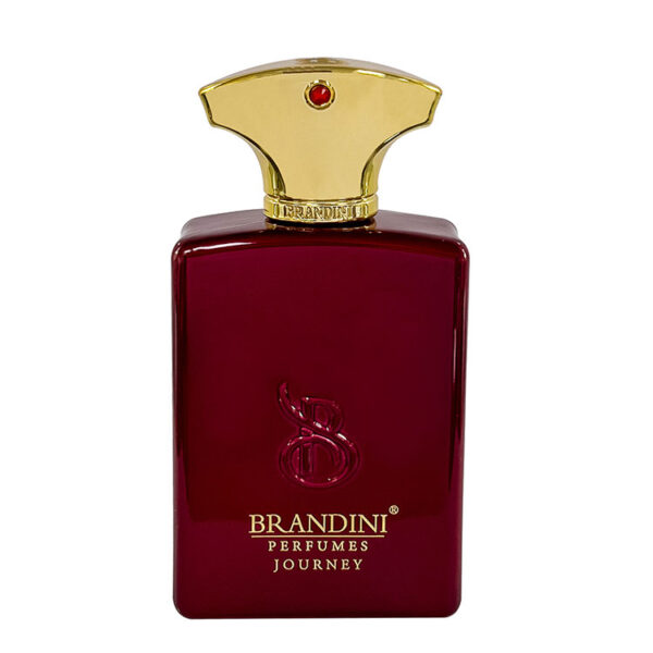 قیمت عطر ادکلن برندینی جورنی مردانه