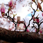 خرید عطر باربری هر (بربری هر)