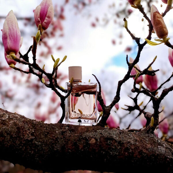 خرید عطر باربری هر (بربری هر)