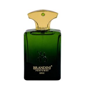 عطر ادکلن برندینی اپیک مردانه