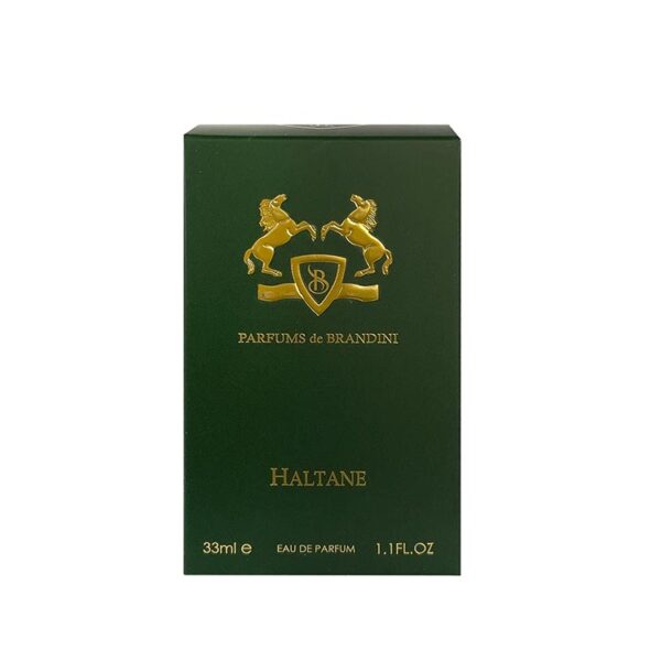 خرید عطر ادکلن برندینی هالتین ( هالتان ) مردانه