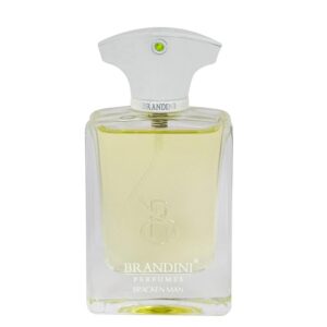 عطر ادکلن برندینی براکن مردانه