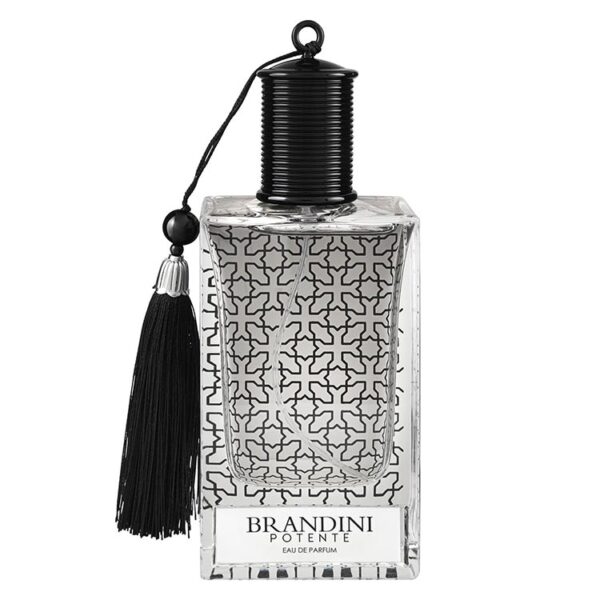 عطر ادکلن برندینی پوتنته مردانه