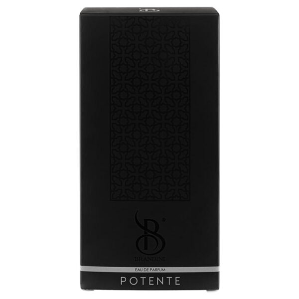قیمت عطر ادکلن برندینی پوتنته مردانه