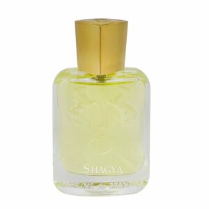 عطر ادکلن برندینی شاگیا مردانه