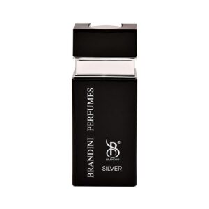 عطر ادکلن برندینی سیلور مردانه