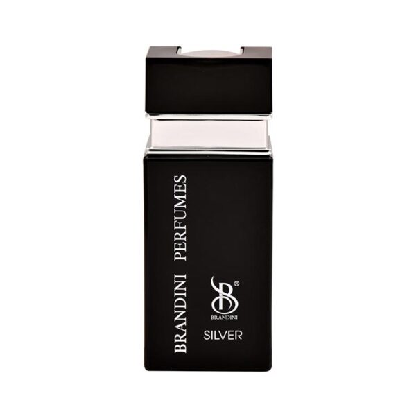 عطر ادکلن برندینی سیلور مردانه