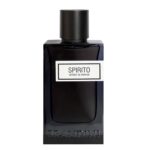 عطر ادکلن برندینی اسپیریت مردانه