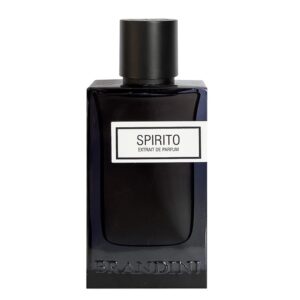 عطر ادکلن برندینی اسپیریت مردانه