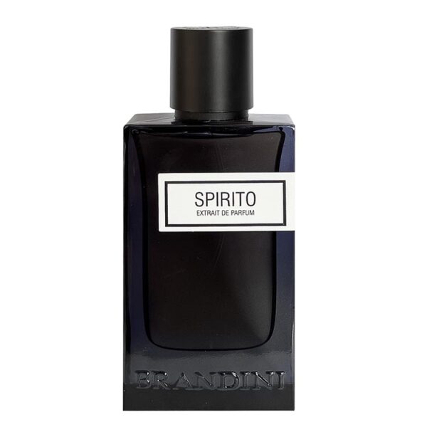 عطر ادکلن برندینی اسپیریت مردانه