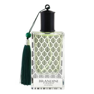 عطر ادکلن برندینی ویاجیو مردانه
