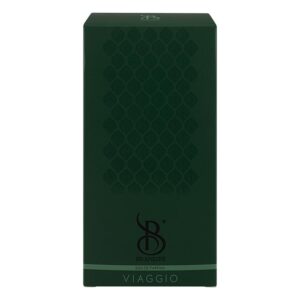 عطر ادکلن برندینی ویاجیو مردانه