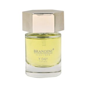 عطر ادکلن برندینی وای دی مردانه