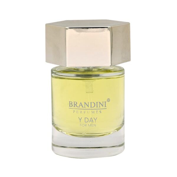 عطر ادکلن برندینی وای دی مردانه