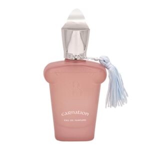 عطر ادکلن کارنشن زنانه و مردانه