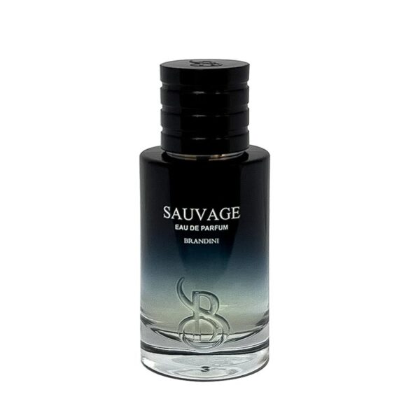 عطر ادکلن برندینی مردانه ساواج