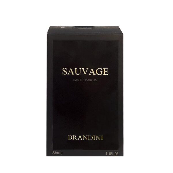 قیمت عطر ادکلن برندینی مردانه ساواج
