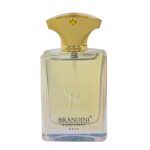 قیمت عطر ادکلن برندینی فیت مردانه