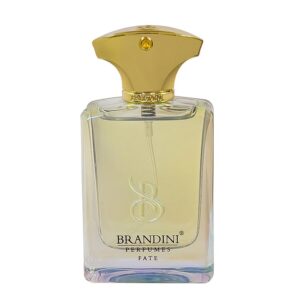 قیمت عطر ادکلن برندینی فیت مردانه