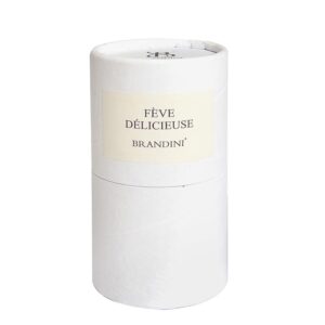 خرید عطر ادکلن برندینی فو دلیسیوس مردانه و زنانه