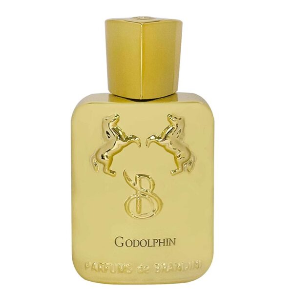 قیمت عطر ادکلن برندینی گودولفین مردانه