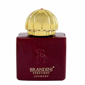 قیمت عطر ادکلن برندینی جرنی زنانه