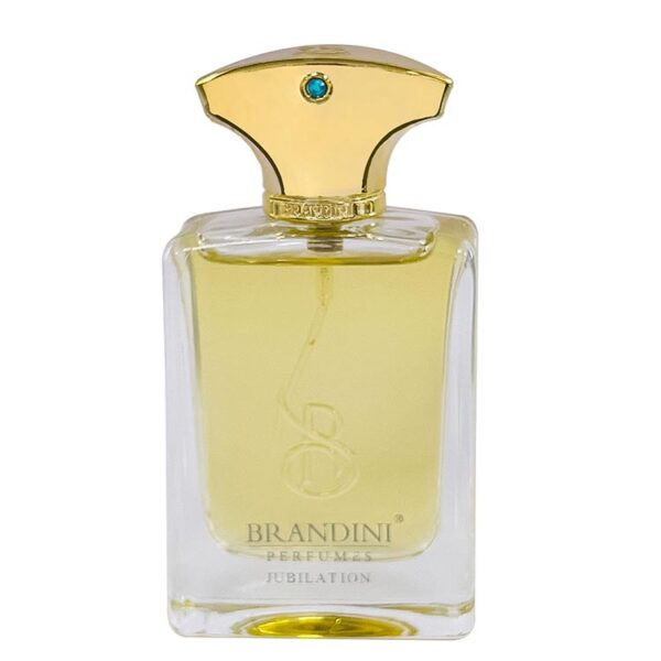 قیمت عطر ادکلن برندینی جوبیلیشن مردانه