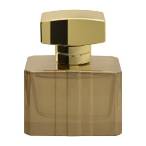 قیمت عطر ادکلن برندینی پریمیر زنانه