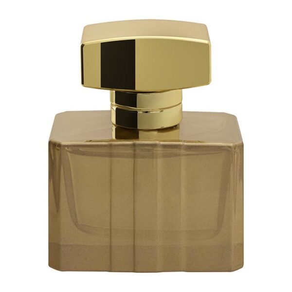 قیمت عطر ادکلن برندینی پریمیر زنانه
