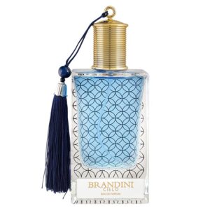قیمت عطر ادکلن برندینی سیلو مردانه