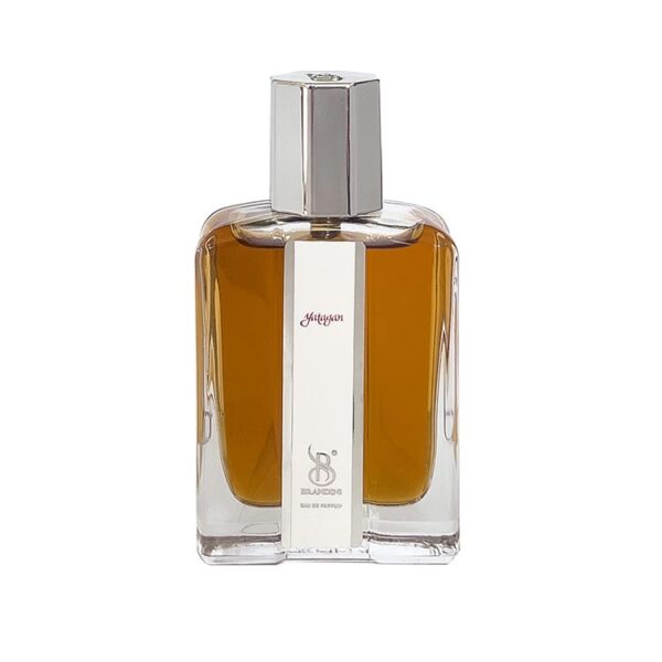 قیمت عطر ادکلن برندینی یاتاقان مردانه
